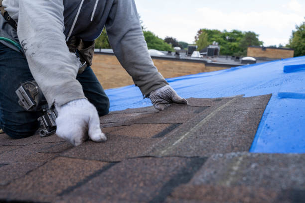 Best Local Roofing Companies  in Washington, NC