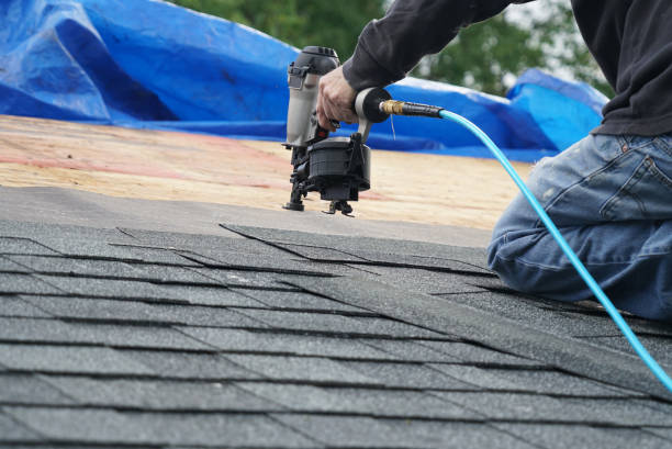 Roof Gutter Cleaning in Washington, NC